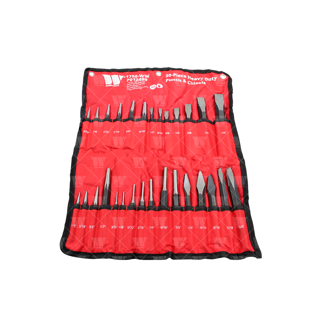 Punzones y cinceles resistentes de 30 piezas 1750-WW