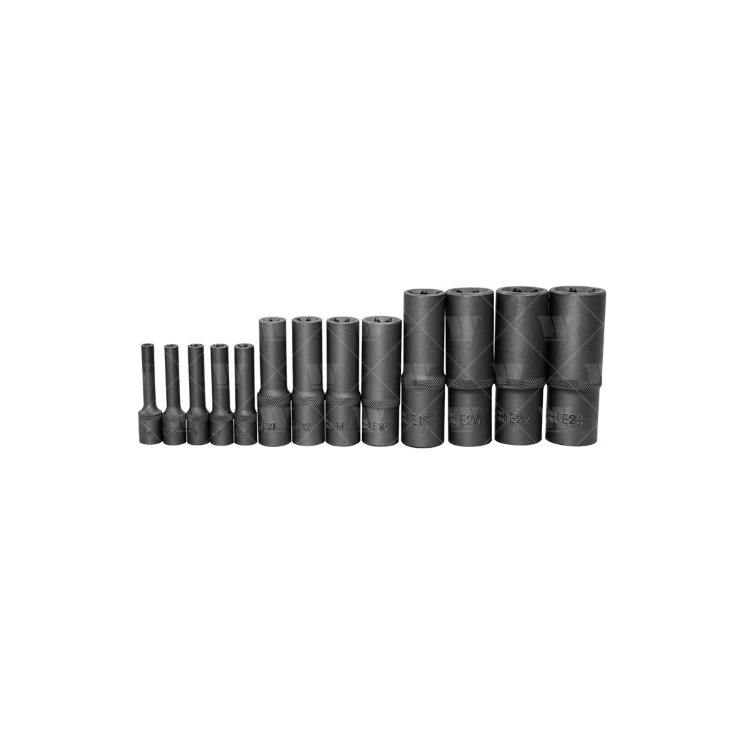 Juego maestro de puntas de vaso; 67 piezas extralargas, Torx, Etorx, Allen 6015-WW