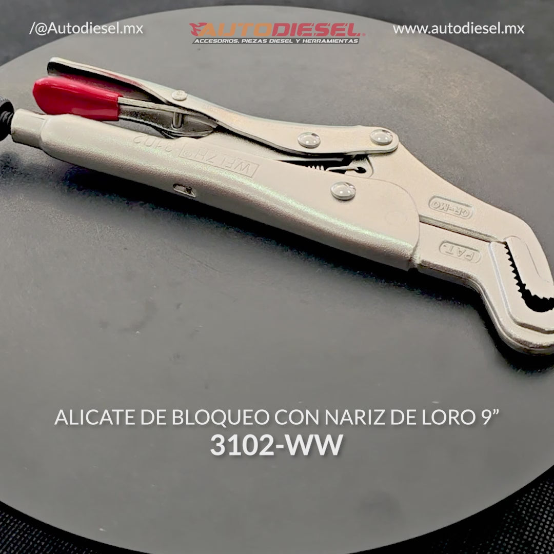 Pinza de presión, Alicates de bloqueo; Nariz de loro 9'' 3102-WW