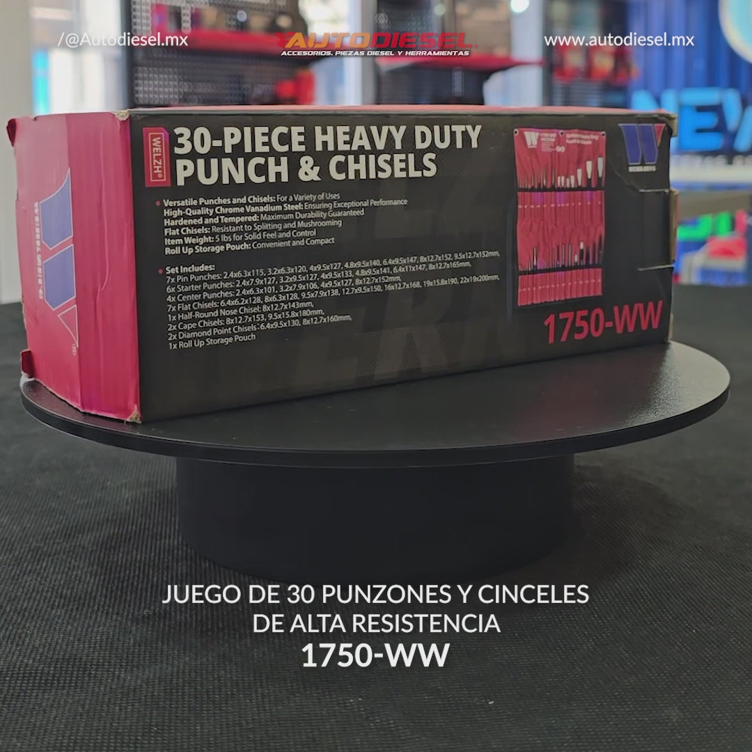 Punzones y cinceles resistentes de 30 piezas 1750-WW